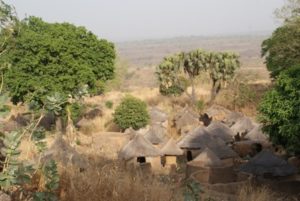 Lire la suite à propos de l’article Promotion de l’écotourisme à la ferme apicole de Tobé