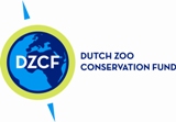 Lire la suite à propos de l’article The Dutch Zoo Conservation Fund
