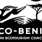 logo ecobenin ONG