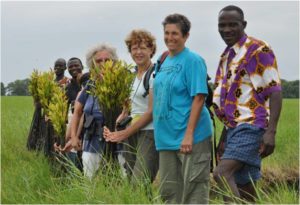 Lire la suite à propos de l’article Plantation de palétuviers au lac Ahémé