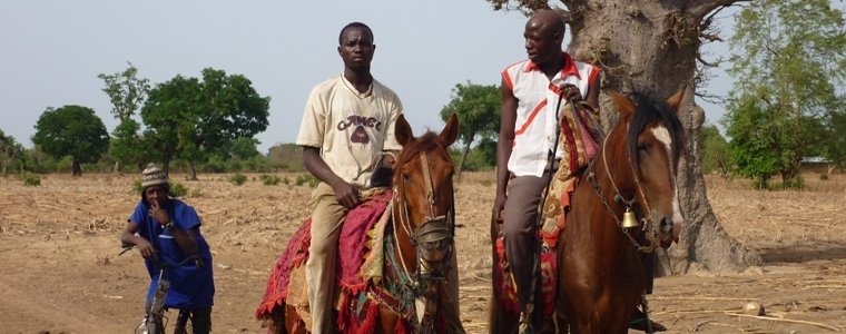 Lire la suite à propos de l’article Les Wassangari, maîtres danseurs des chevaux de prestige