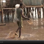 video-benin-fishes-for-ecotourists.png