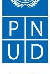 LOGO_pnud-2.jpg