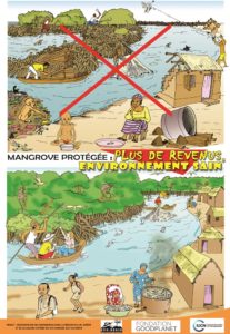 Lire la suite à propos de l’article Plantation de mangrove le long du chenal Aho et de la lagune côtière