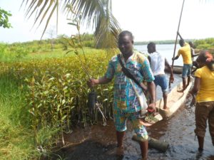 Lire la suite à propos de l’article Plantation de la mangrove dans la région de la lagune côtière et du lac Ahémé