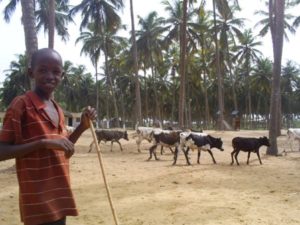 Lire la suite à propos de l’article Aventure Peulh au Bénin