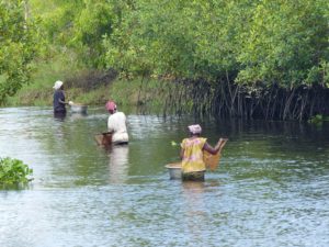 Lire la suite à propos de l’article Week-end itinérant sur la côte Ouest