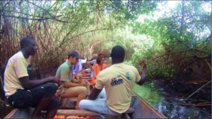 mangrove_adounko.jpg