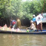 sacralisation_mangroves_bouche_du_roi_ecobenin.jpg