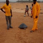 surveillance_tortues_marines_grand_popo_ecobenin.jpg