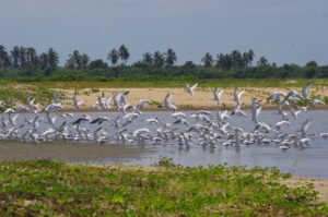 Lire la suite à propos de l’article Développement d’un réseau connecté d’écotourisme communautaire au Bénin