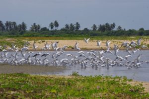 Lire la suite à propos de l’article Développement d’un réseau connecté d’écotourisme communautaire au Bénin