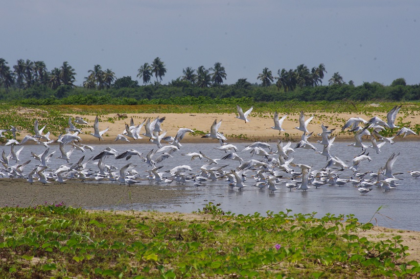 Lire la suite à propos de l’article Développement d’un réseau connecté d’écotourisme communautaire au Bénin