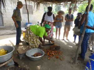 excursion_reserve_bouche_du_roy_ecobenin_grand_popo2.jpg