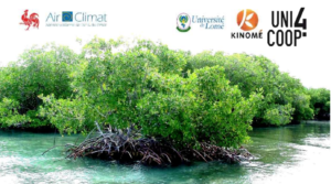 Lire la suite à propos de l’article Colloque international sur la gestion durable des mangroves