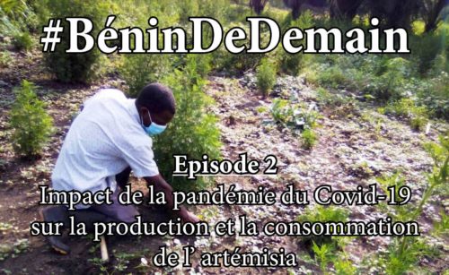 Lire la suite à propos de l’article Restez chez vous et découvrez le #BéninDeDemain, Episode 2
