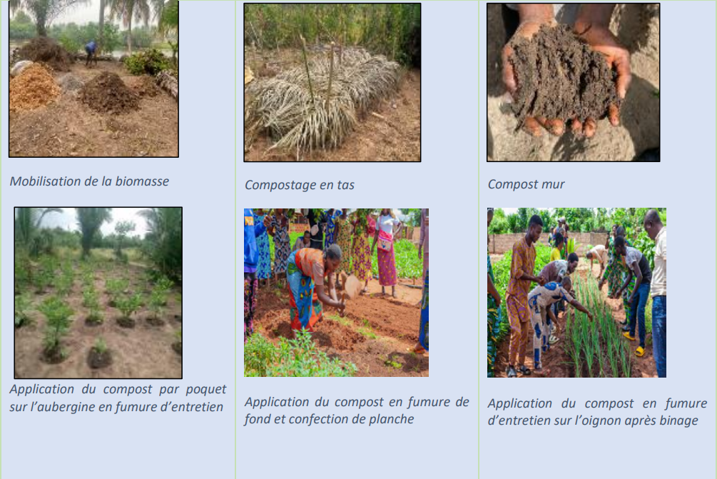 Gestion Intégrée de la Fertilité des Sols (GIFS) - Eco-Bénin – Ecotour ...