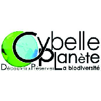 Lire la suite à propos de l’article Cybelle Planète