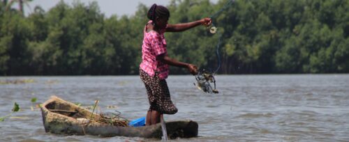 Lire la suite à propos de l’article Résumé du projet Mangroves Economie