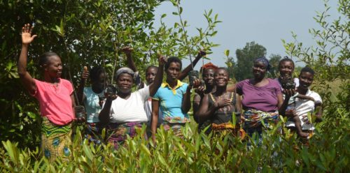 Lire la suite à propos de l’article Vaste campagne de restauration des zones de mangroves dans la Bouche du Roy