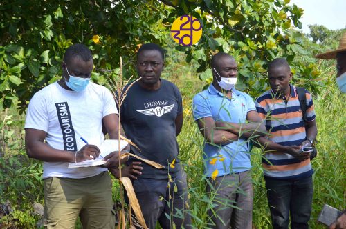 Lire la suite à propos de l’article Enrayer le déclin de la biodiversité au Bénin, une équipe du projet BIODEV2030 visite des sites de pratiques agro-écologiques