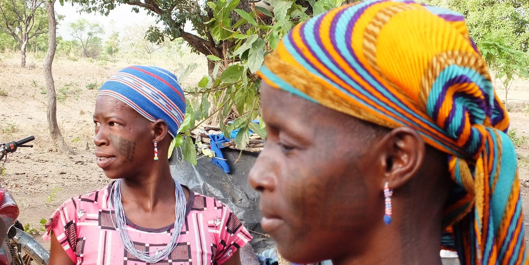 Lire la suite à propos de l’article Paysages et visages du Bénin