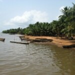 Les berges du lac Ahémé bordées de cocotiers dans le village de Possotomé IMG_5288.jpg