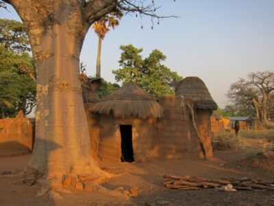 Le village avec les Tatas construits à côté des baobabs tata_somba.jpg