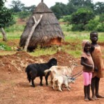 Les enfants dans le village de Koussoukoingou les_enfants_a_koussoukoingou.jpg