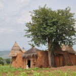 Tata Otammari dans le village de Koussoukoingou b2010_140.jpg