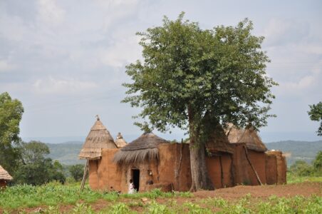 Tata Otammari dans le village de Koussoukoingou b2010_140.jpg