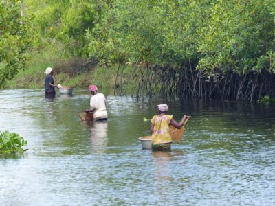 Femmes pratiquant la pêche dans le fleuve Mono fleuve_mono_2.jpg