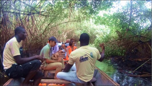 Ballade en barque dans la forêt de mangroves mangrove_adounko.jpg