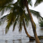 Les rives du lac Ahémé à Possotomé p1420067.jpg