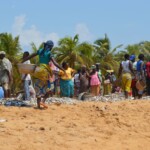 Distribution des produits de pêche marine à Avlo
