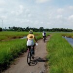 Faites du vélo dans un cadre verdoyant