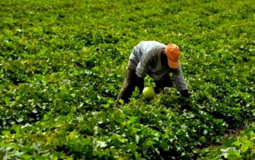 Lire la suite à propos de l’article L’agriculture Intelligente Face au Climat (AIC)