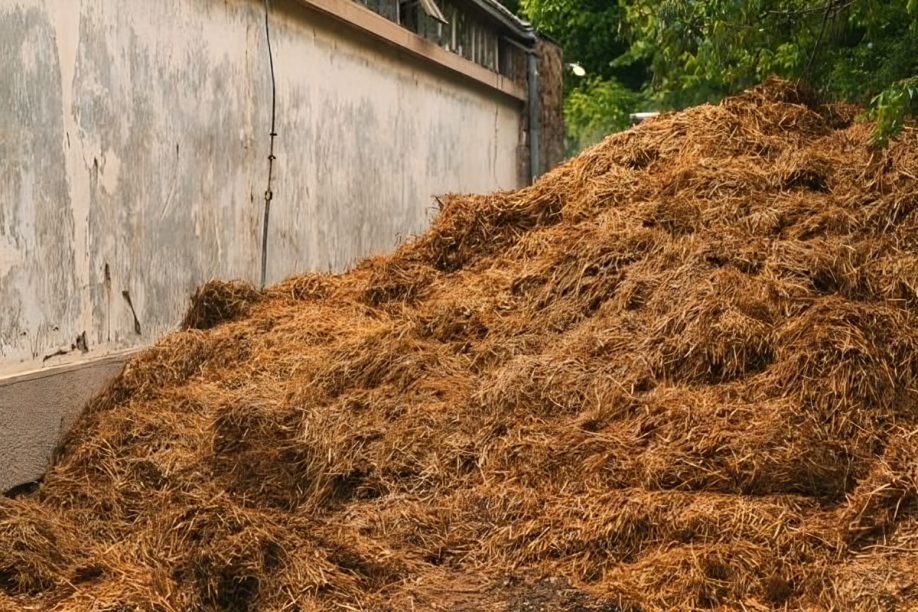 Lire la suite à propos de l’article Gestion intégrée agriculture-élevage