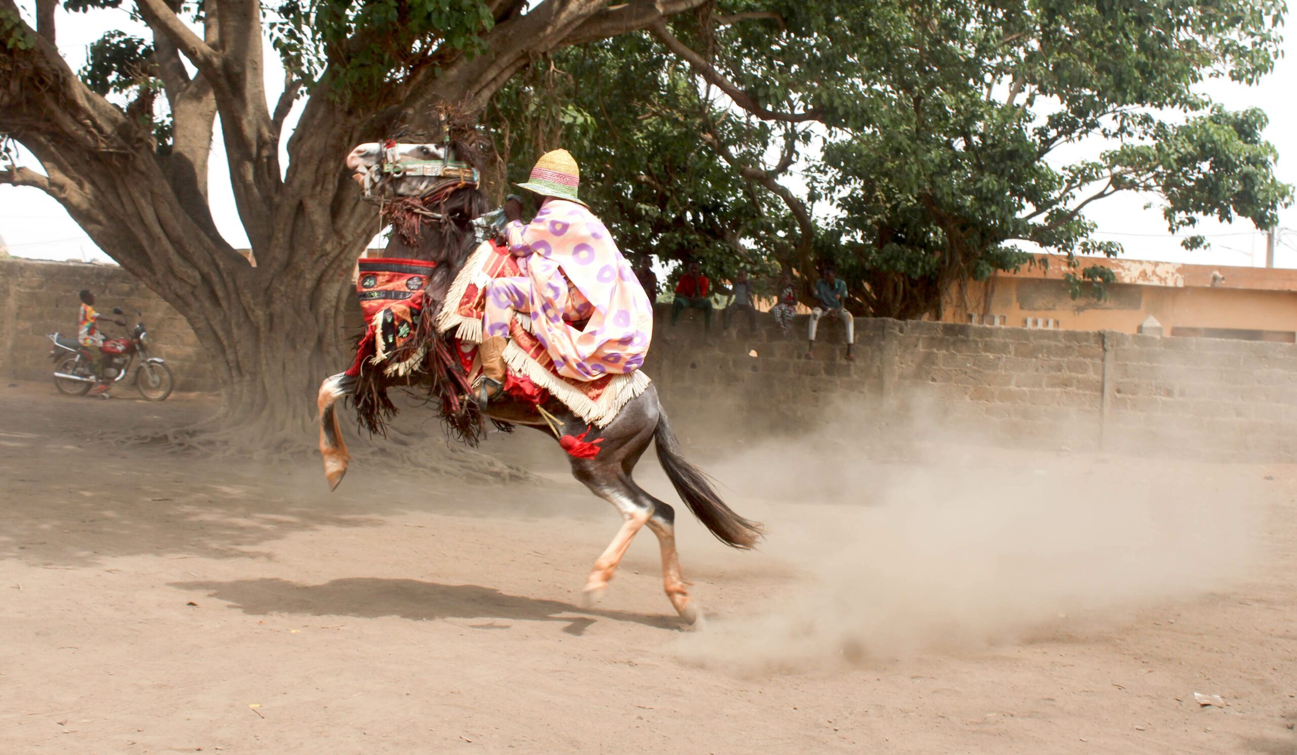Lire la suite à propos de l’article Écotourisme et écodéveloppement : Parakou révèle son potentiel grâce à l’expertise d’Eco-Benin