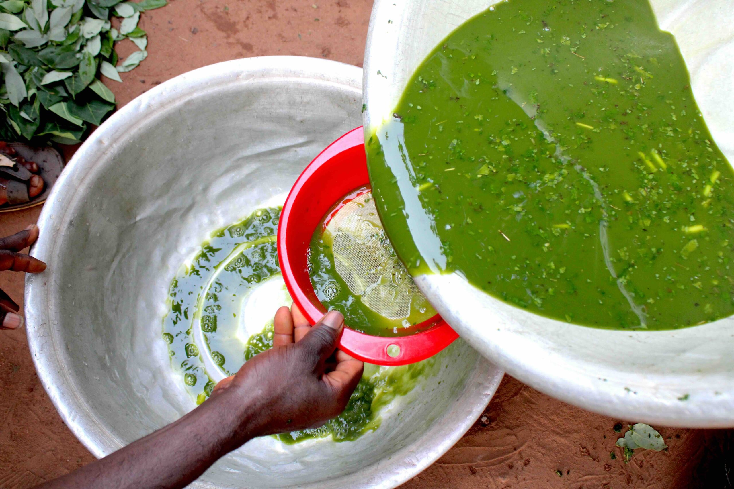 Lire la suite à propos de l’article Économie circulaire dans l’agriculture : des jeunes micro-entrepreneurs renforcés sur la fabrication de compost et de bio-insecticides