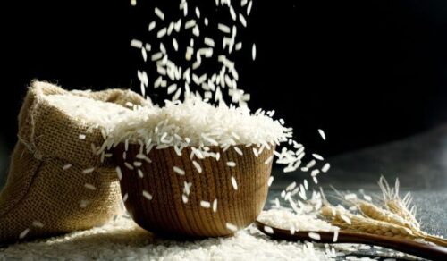 Lire la suite à propos de l’article Sécurité alimentaire : Une riziculture intelligente pour un meilleur rendement